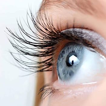Understanding the Lash Growth Cycle: How Eyelashes Grow and Why It Mat